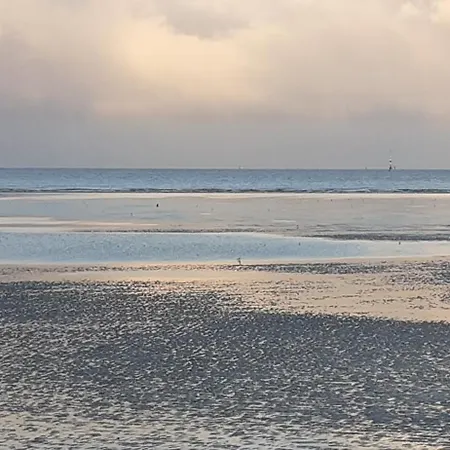 Fokuhl Hooksiel