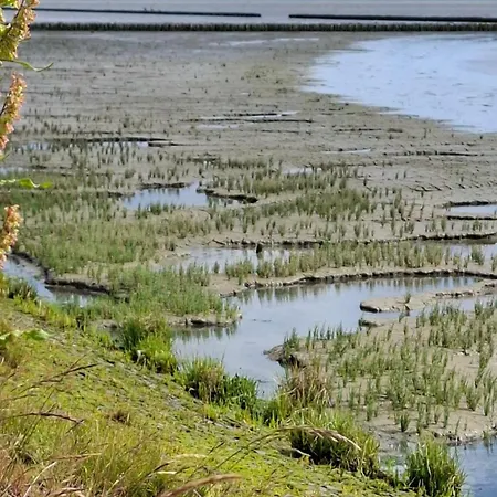 Fokuhl Hooksiel